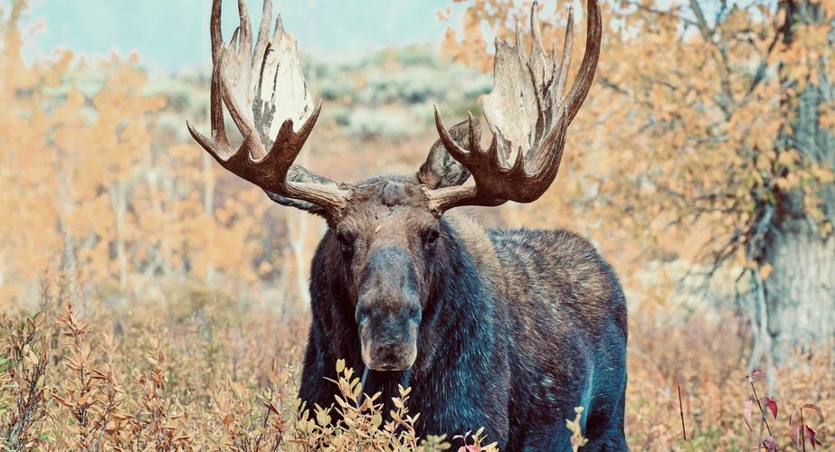 Wyoming Office of Tourism 10 Wyoming Office of Tourism 10